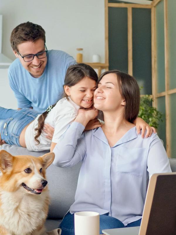 Pet Insurance